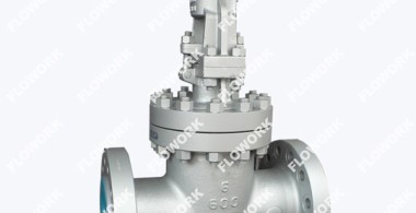 What is api forged steel gate valve?