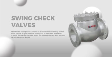 where to install check valve on water pump, before or after pump?