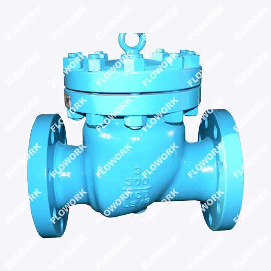 API 6D Check Valve