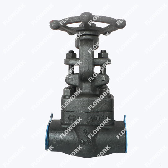 API Forged Steel Gate Valve