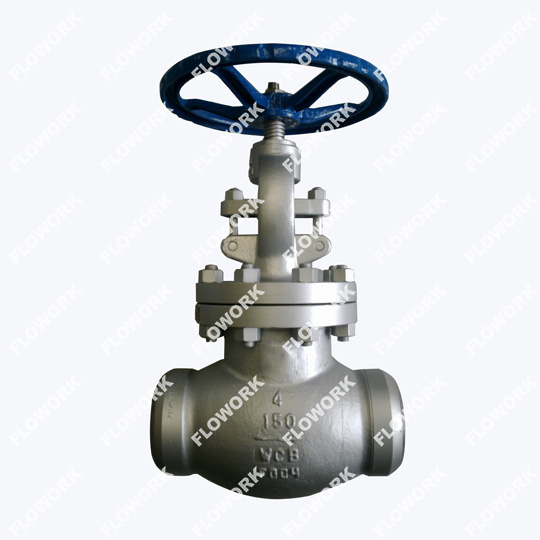 Butt Weld Globe Valve