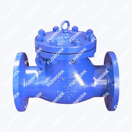 Din Check Valve