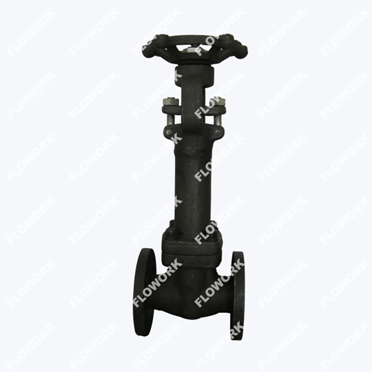 Flanged End Forged Globe Valve