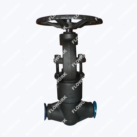 Forged Steel Globe Valve Factory
