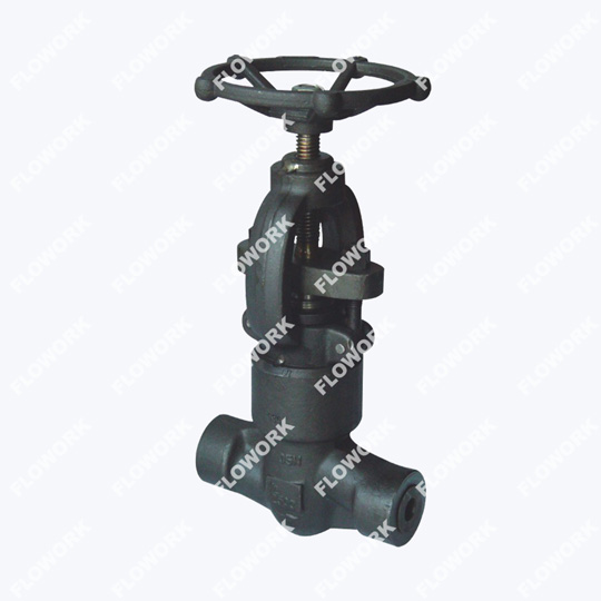 Socket Weld Forged Globe Valve