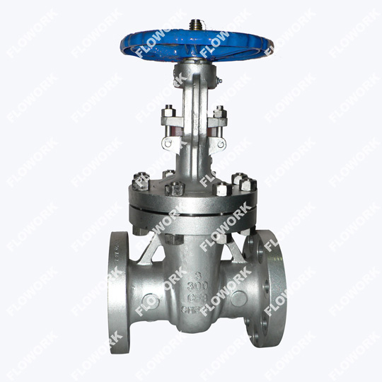 Special Steel Gate Valves