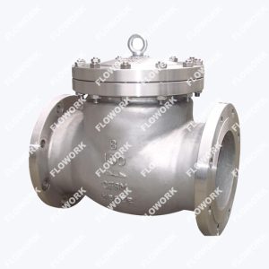 stainless steel check valves