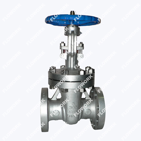 Stainless Steel Gate Valve Manufacturer